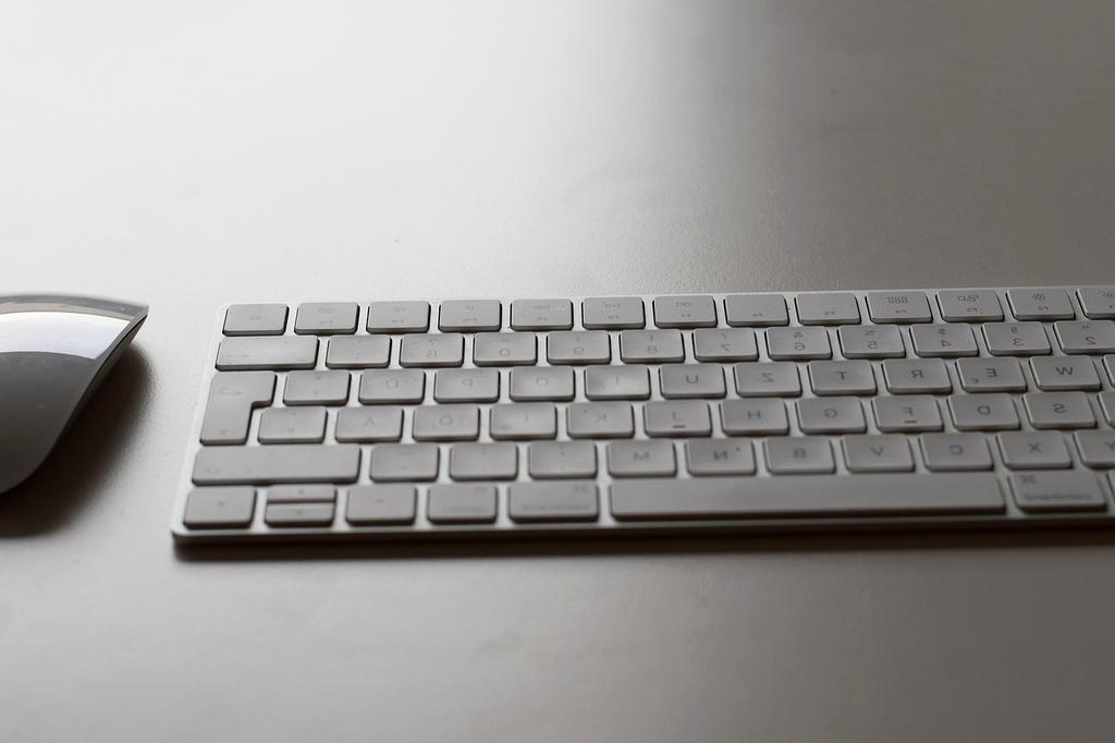 Photo of Emily Johnson - Content Manager